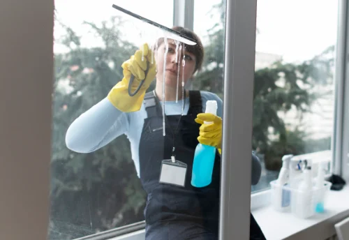 Nettoyage de vitres intérieures et extérieures à Bransat